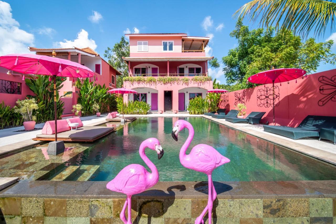 Pinkcoco - Constant Surprises & For Cool Adults Only Hotel