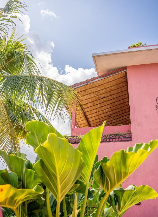 Pinkcoco - Constant Surprises & For Cool Adults Only 3*
